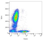 CD5 Antibody in Flow Cytometry (Flow)