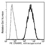 CRABP2 Recombinant Rabbit Monoclonal Antibody (004), PE