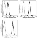 EphB4 Antibody in Flow Cytometry (Flow)