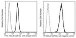 GOLPH2 Recombinant Rabbit Monoclonal Antibody (024), FITC