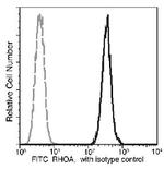 RhoA Recombinant Rabbit Monoclonal Antibody (036), FITC