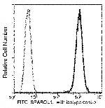 SPARCL1 Antibody in Flow Cytometry (Flow)