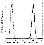 SPARCL1 Recombinant Rabbit Monoclonal Antibody (390), FITC