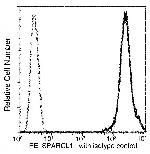 SPARCL1 Recombinant Rabbit Monoclonal Antibody (390), PE