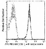 CD31 (PECAM-1) Antibody in Flow Cytometry (Flow)