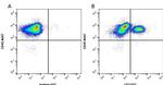 CD3 Antibody in Flow Cytometry (Flow)