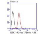 MEK3 Antibody in Flow Cytometry (Flow)