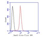 SMAD1 Antibody in Flow Cytometry (Flow)