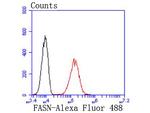 FASN Antibody in Flow Cytometry (Flow)