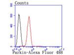 Parkin Antibody in Flow Cytometry (Flow)