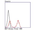 MIF Antibody in Flow Cytometry (Flow)