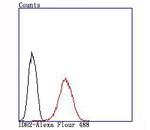 IDH2 Antibody in Flow Cytometry (Flow)