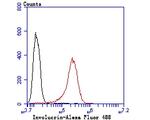 Involucrin Antibody in Flow Cytometry (Flow)