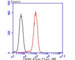 CXCR5 Antibody in Flow Cytometry (Flow)