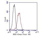 BOB-1 Antibody in Flow Cytometry (Flow)