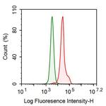 LRG1 Antibody in Flow Cytometry (Flow)