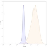 Alemtuzumab Humanized Recombinant Human Monoclonal Antibody