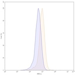 Bevacizumab Humanized Recombinant Human Monoclonal Antibody