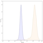 Daclizumab Humanized Recombinant Human Monoclonal Antibody