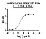 Labetuzumab Humanized Recombinant Human Monoclonal Antibody