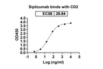 CD2 (Siplizumab Biosimilar) Recombinant Humanized mouse Monoclonal Antibody
