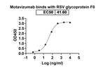 Motavizumab Humanized Antibody in ELISA (ELISA)