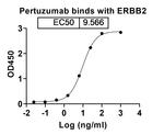 Her-2 (ErbB2) (Pertuzumab Biosimilar) Antibody in ELISA (ELISA)