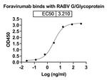 Rabies Virus Glycoprotein (Foravirumab Biosimilar) Recombinant Humanized mouse Monoclonal Antibody