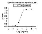 Gevokizumab Humanized Recombinant Human Monoclonal Antibody