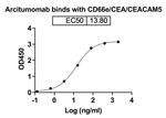 CD66e (CEACAM5) (Arcitumomab Biosimilar) Recombinant Mouse Monoclonal Antibody