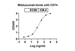 Milatuzumab Humanized Antibody in ELISA (ELISA)