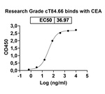 CD66e (CEACAM5) (cT84.66 Biosimilar) Recombinant Human Monoclonal Antibody