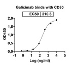 Galiximab Chimeric Recombinant Human Monoclonal Antibody