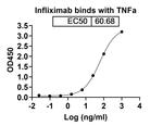 Infliximab Chimeric Recombinant Human Monoclonal Antibody