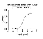 Briakinumab Recombinant Human Monoclonal Antibody