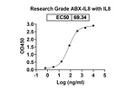 ABX-IL8 Antibody in ELISA (ELISA)