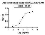 EpCAM (CD326) (Adecatumumab Biosimilar) Recombinant Human Monoclonal Antibody