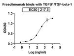 Fresolimumab Antibody in ELISA (ELISA)