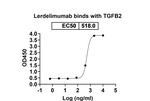 Lerdelimumab Recombinant Human Monoclonal Antibody
