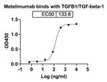 Metelimumab Recombinant Human Monoclonal Antibody