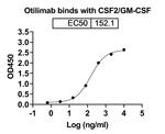 Otilimab Recombinant Human Monoclonal Antibody
