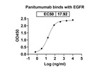 Panitumumab Antibody in ELISA (ELISA)