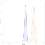 EGFR (Panitumumab Biosimilar) Antibody in Flow Cytometry (Flow)