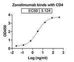CD4 (Zanolimumab Biosimilar) Recombinant Human Monoclonal Antibody