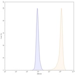 Gantenerumab Recombinant Human Monoclonal Antibody