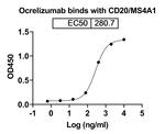 Ocrelizumab Humanized Recombinant Human Monoclonal Antibody