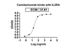 Camidanlumab Recombinant Human Monoclonal Antibody