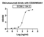 Obinutuzumab Humanized Recombinant Human Monoclonal Antibody