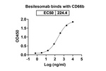 Besilesomab Recombinant Mouse Monoclonal Antibody