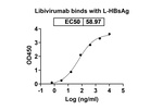 Hepatitis B Virus Surface Antigen (Libivirumab Biosimilar) Antibody in ELISA (ELISA)